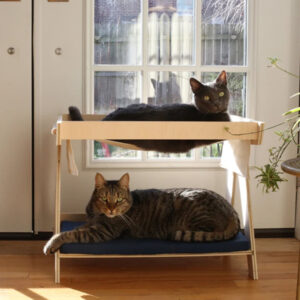 pet dog bed