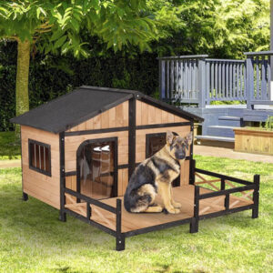 dog house outdoor