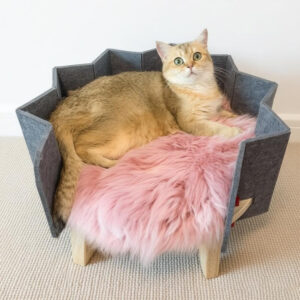 Felt Elevated Cat Bed Wood 50×50×31cm