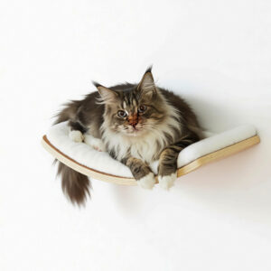 Curved Cat Wall Perch Plywood 15.7×10×3 Inches