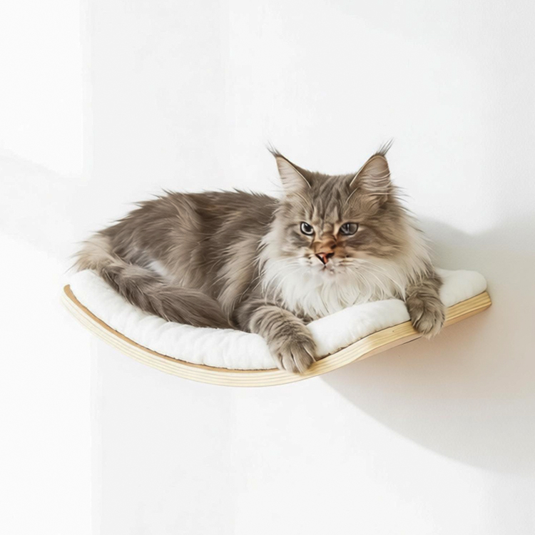 Curved Cat Wall Perch Plywood 15.7×10×3 Inches