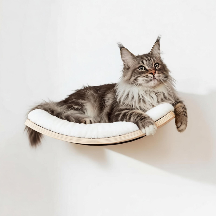 Curved Cat Wall Perch Plywood 15.7×10×3 Inches