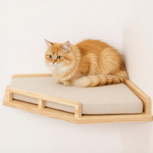 Modern Cat Wall Shelves Bed Pine Wood 40×40cm