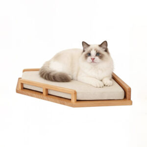 Modern Cat Wall Shelves Bed Pine Wood 40×40cm