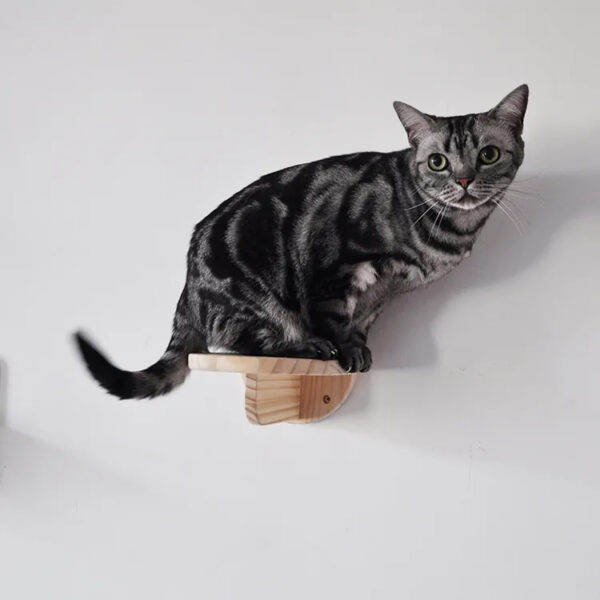 Modern Pine Wood Cat Climbing Shelf - Indoor Cat Wall Furniture