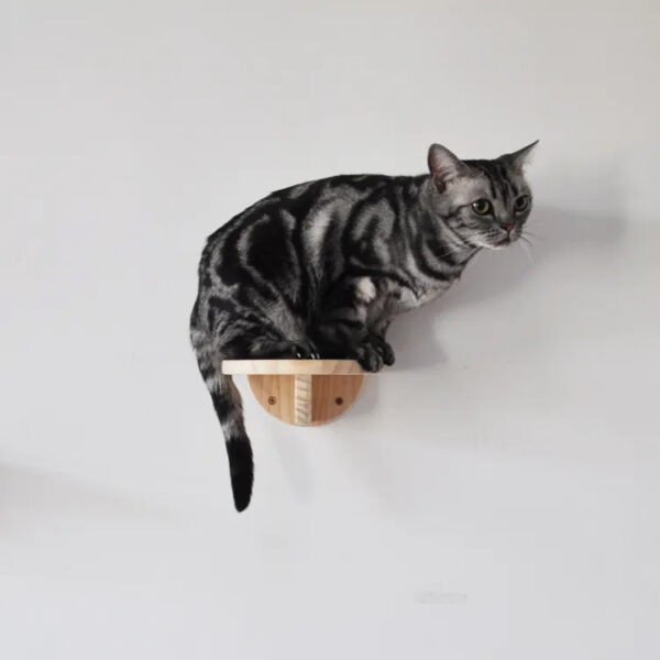 Modern Pine Wood Cat Climbing Shelf - Indoor Cat Wall Furniture