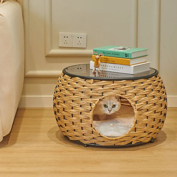 Modern cat furniture with glass table