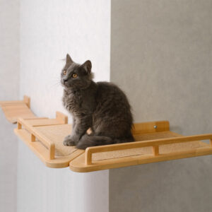 Wall-Mounted Multi-Functional Wooden Cat Bed