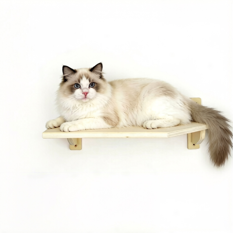 Cat Climber Wall Mounted Plywood 50×32×15cm