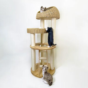 Modern Multi-Level Cat Tree Tower with Sisal Scratching Posts