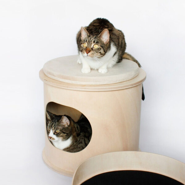 Multi-Functional Cat House and Coffee Table