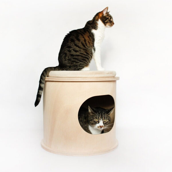 Multi-Functional Cat House and Coffee Table