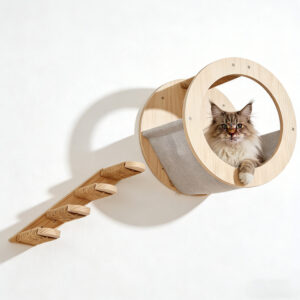 Wood Elevated Cat Bed With Steps 20×19×2.5 Inches
