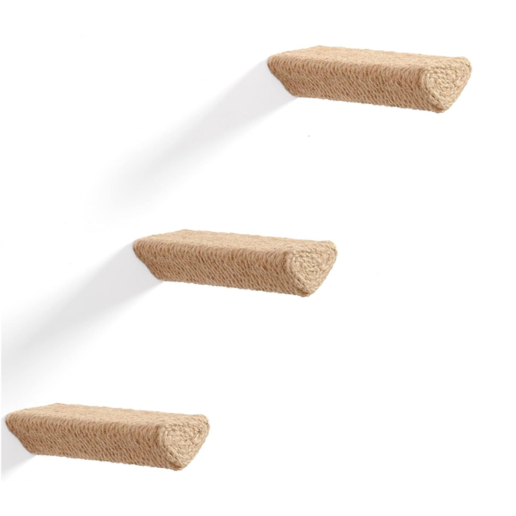 Cat Climbing Wall Steps