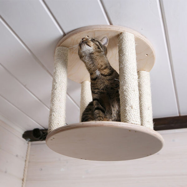Ceiling-Mounted Cat Climbing Shelf with Rope Wrapping