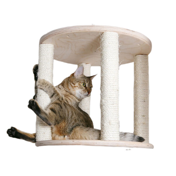 Ceiling-Mounted Cat Climbing Shelf with Rope Wrapping