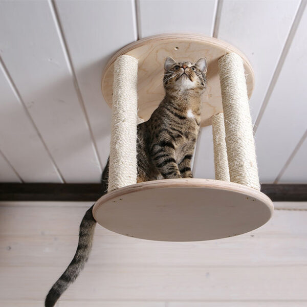 Ceiling-Mounted Cat Climbing Shelf with Rope Wrapping
