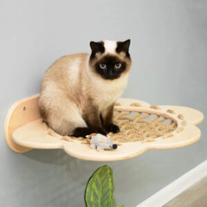 Floral Wall-Mounted Cat Perch with Scratching Post
