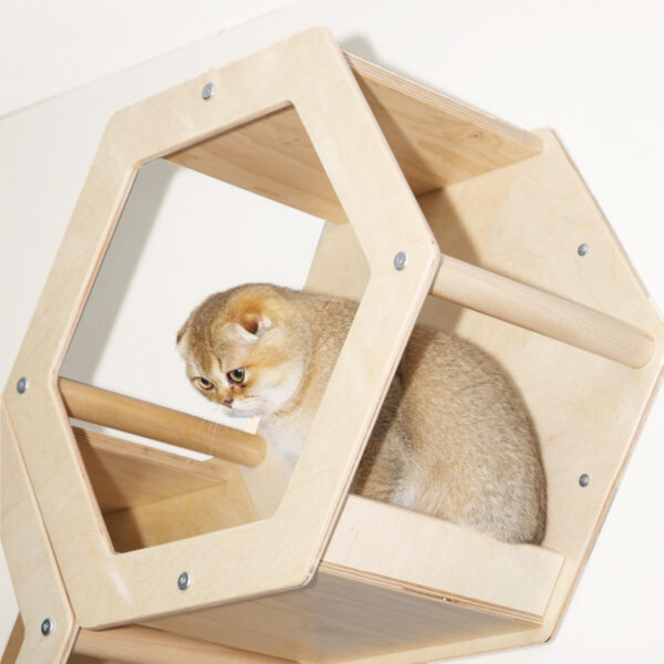 Hexagonal Wall-Mounted Cat House