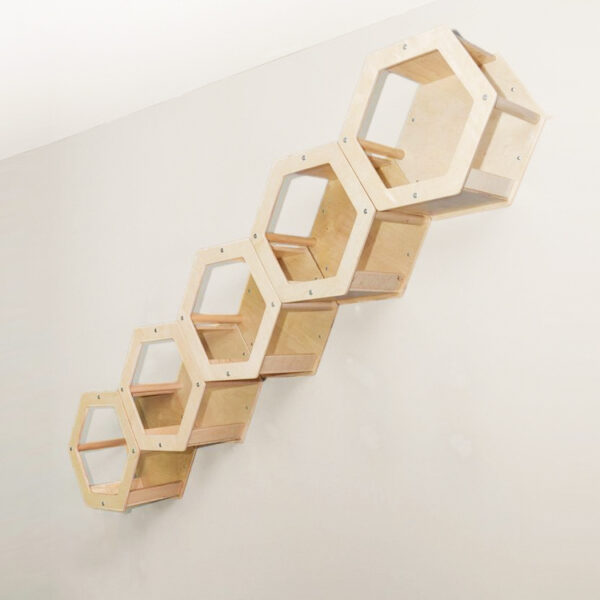 Hexagonal Wall-Mounted Cat House