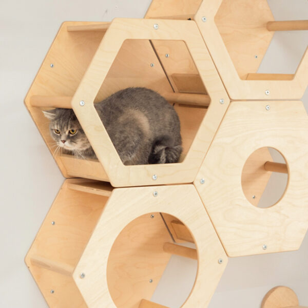 Hexagonal Wall-Mounted Cat House