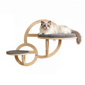 Modern Circular Wall-Mounted Cat Shelf with Climbing Step