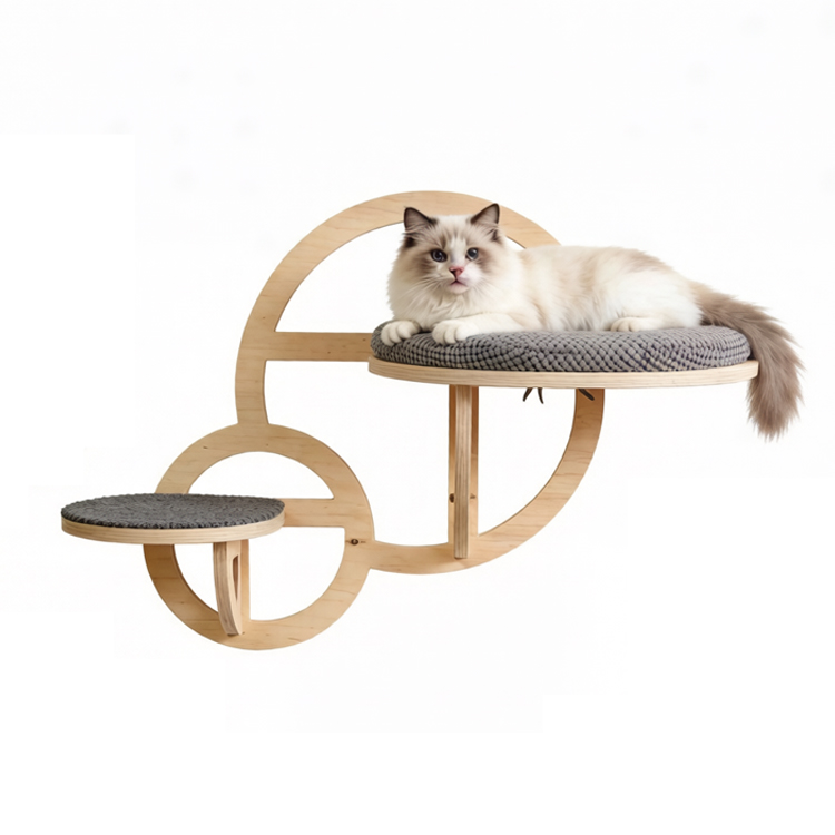 Modern Circular Wall-Mounted Cat Shelf with Climbing Step