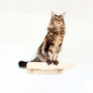 Modular Cat Wall Shelf with Replaceable Sisal Scratcher​