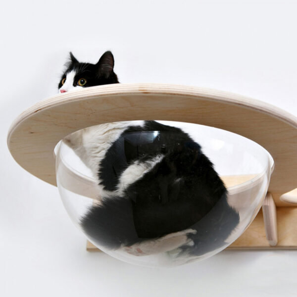 Transparent Acrylic Cat Hammock with Adjustable Wooden Frame