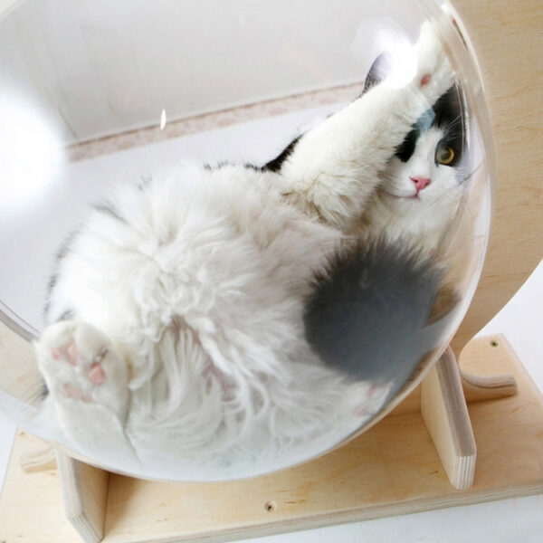 Transparent Acrylic Cat Hammock with Adjustable Wooden Frame