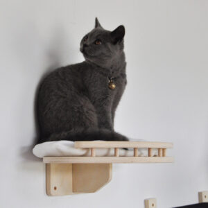 Wall-Mounted Oval Cat Climbing Shelf