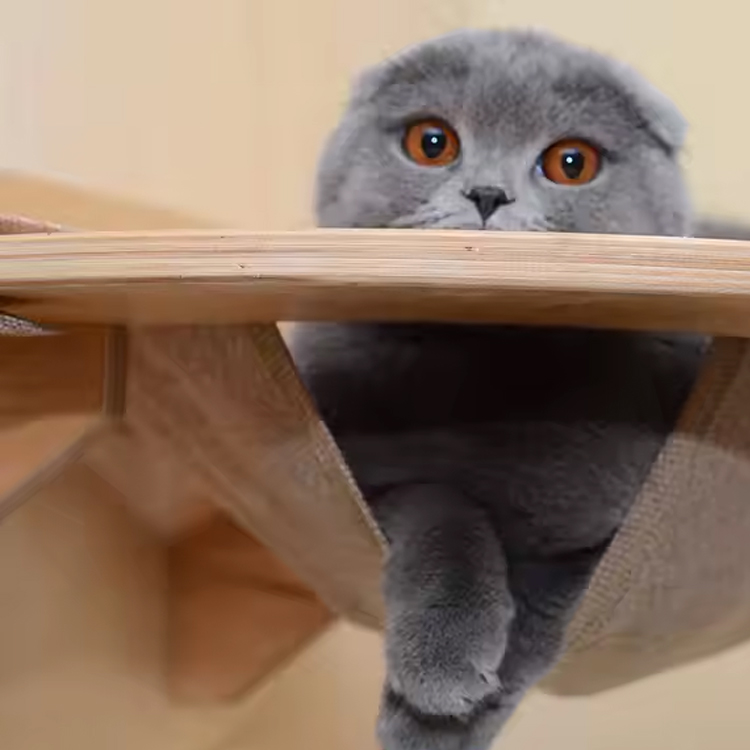 Wooden Wall-Mounted Cat Hammock Shelf