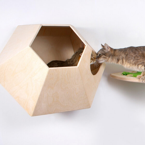 ​​Wall-Mounted Cat Cabin with Customizable Entry​​