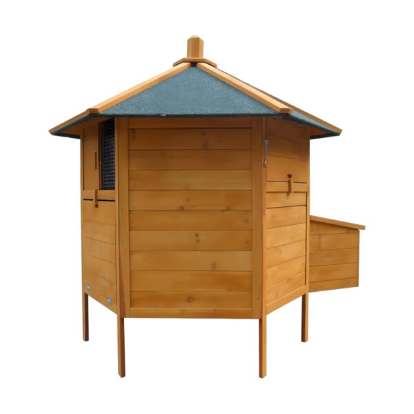 Hexagonal Wooden Chicken Coop with Nest Box & Ramp