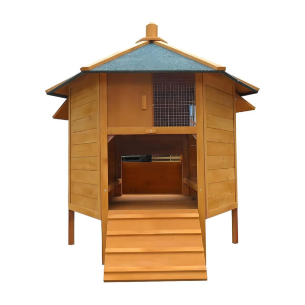 Hexagonal Wooden Chicken Coop with Nest Box & Ramp