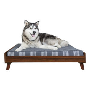 Modern Pet Bed Frame