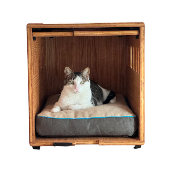 ​​Modern Flip-Top Dog Crate with Cushion and Wood Finish Options​​