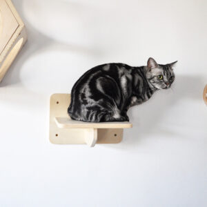 Cat Climbing Shelves Plywood 20×30×20cm