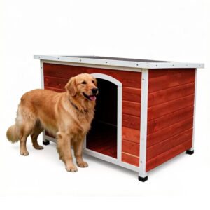 Large Outdoor Dog Kennel Fir Wood 116×76×82cm
