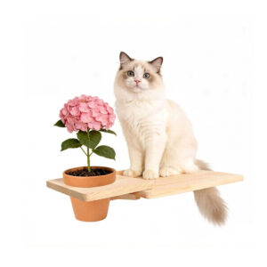 Plywood Cat Bowl Shelf For Wall 20×10