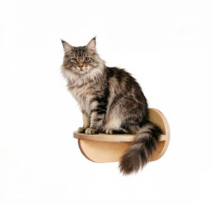 Round Cat Wall Shelves Pine Wood 13×13×12cm