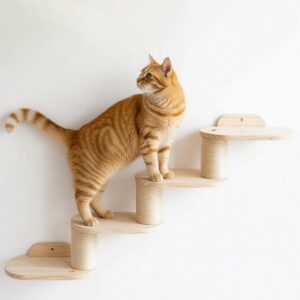 Wall Cat Step Ladder Plywood 111×18×48cm