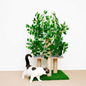 Wood Cat Scratching Posts For Large Cats 60×60×120cm
