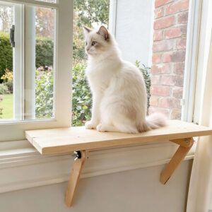 Cat Window Bed Pine Wood 61×19cm